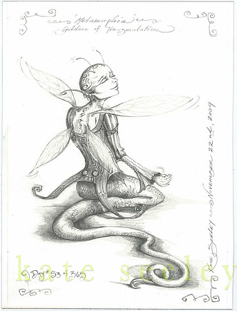 53.metamorphia.web