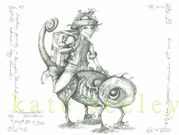 38.chameleon travellers